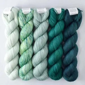 Blackwatch, Haven't the Foggiest, Mojito, Oz, Palm Valley - Mixed Shawlography Set - Babette