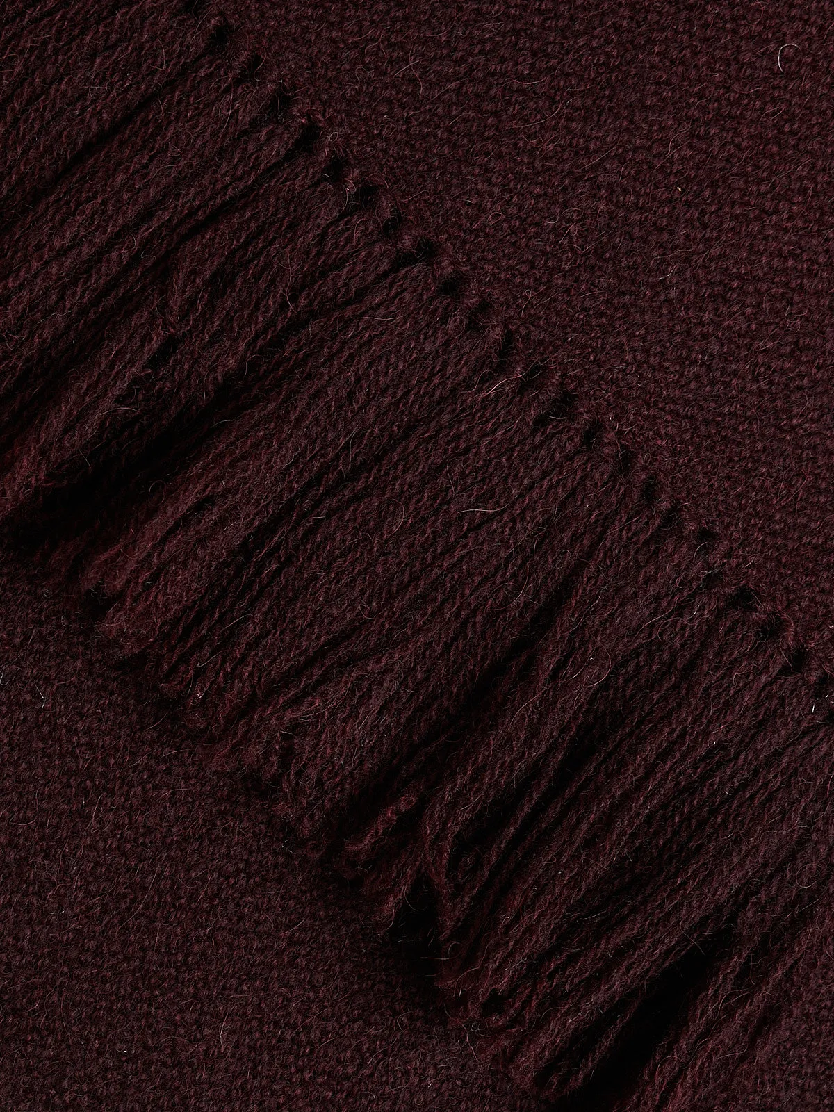 Gobi Solid Scarf in Dark Fig